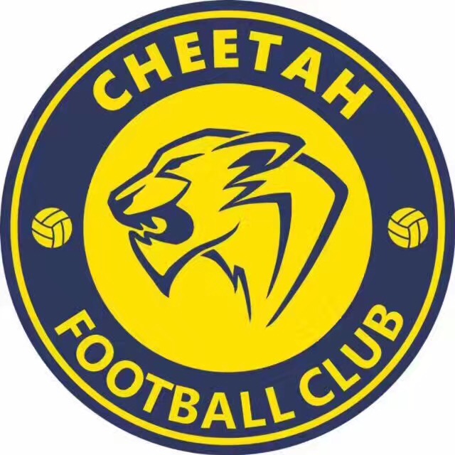 搜索台州驰马猎豹