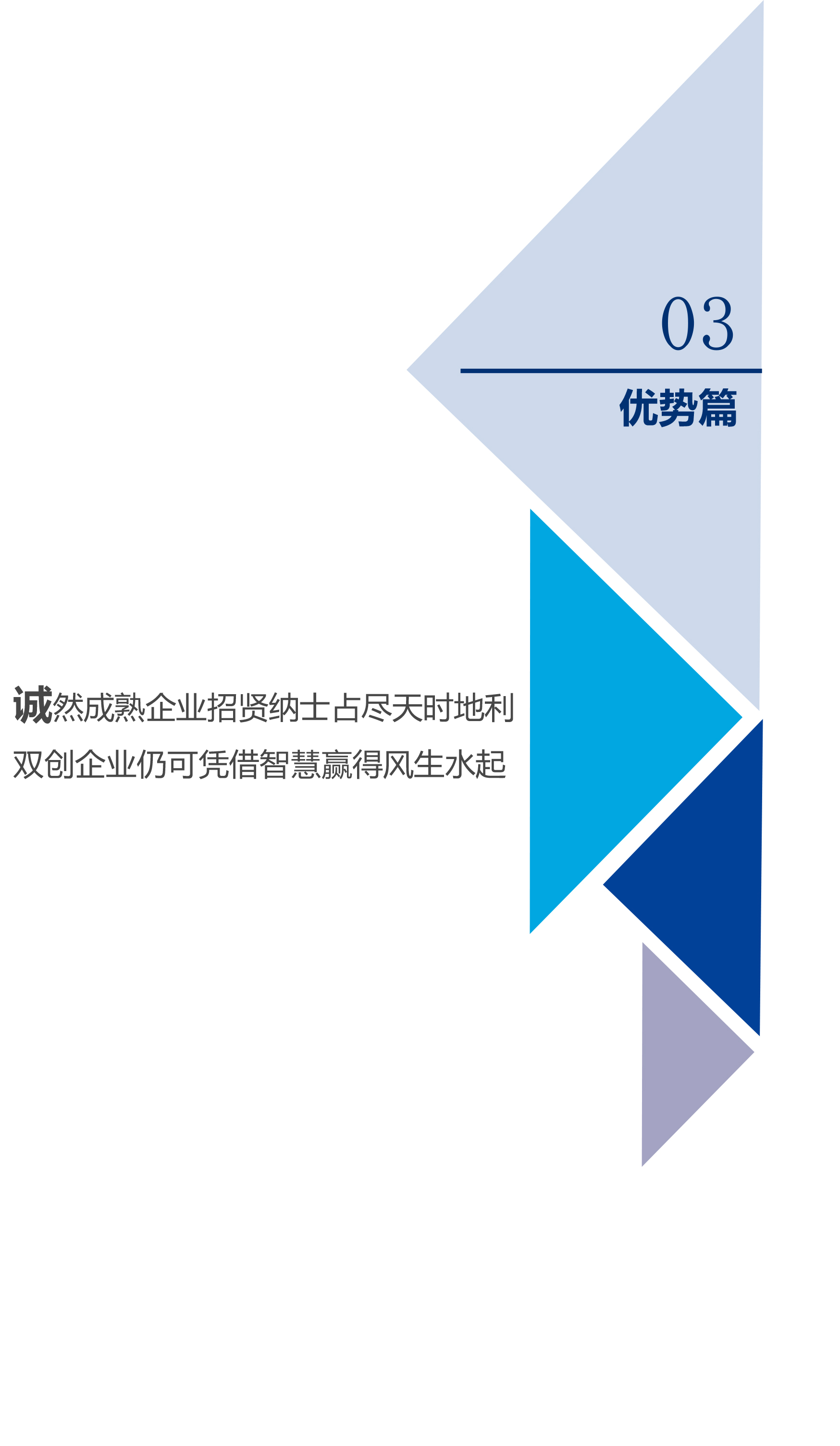 人力資源手冊(cè)-優(yōu)勢(shì)篇