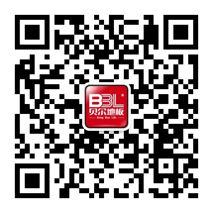 贝尔集团-贝尔英雄传