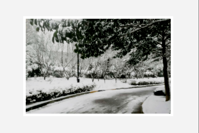 小区内外雪景